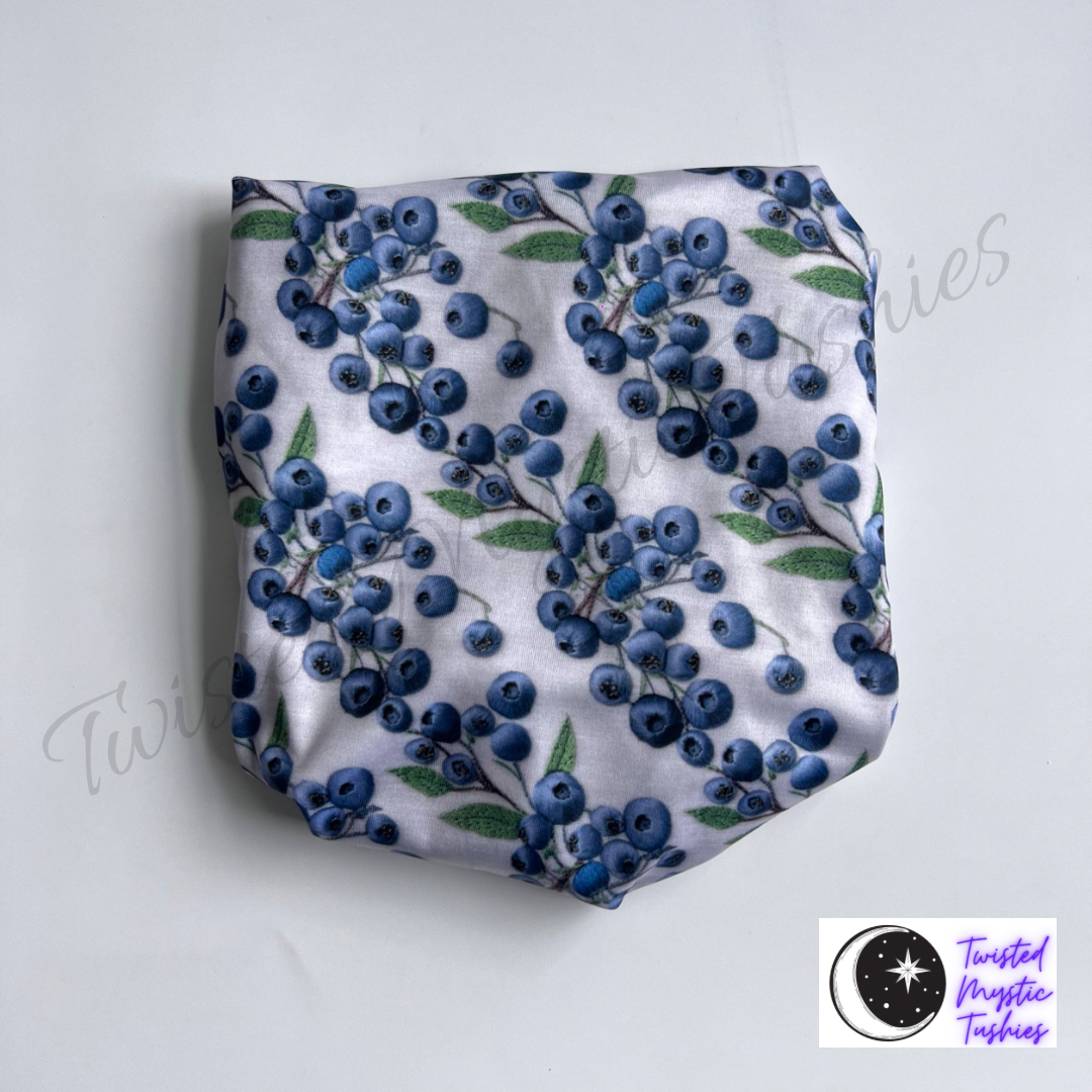 Blueberries *preorder*