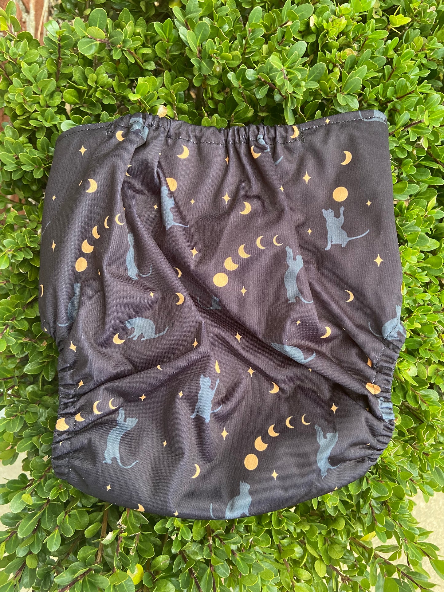 Binx FS