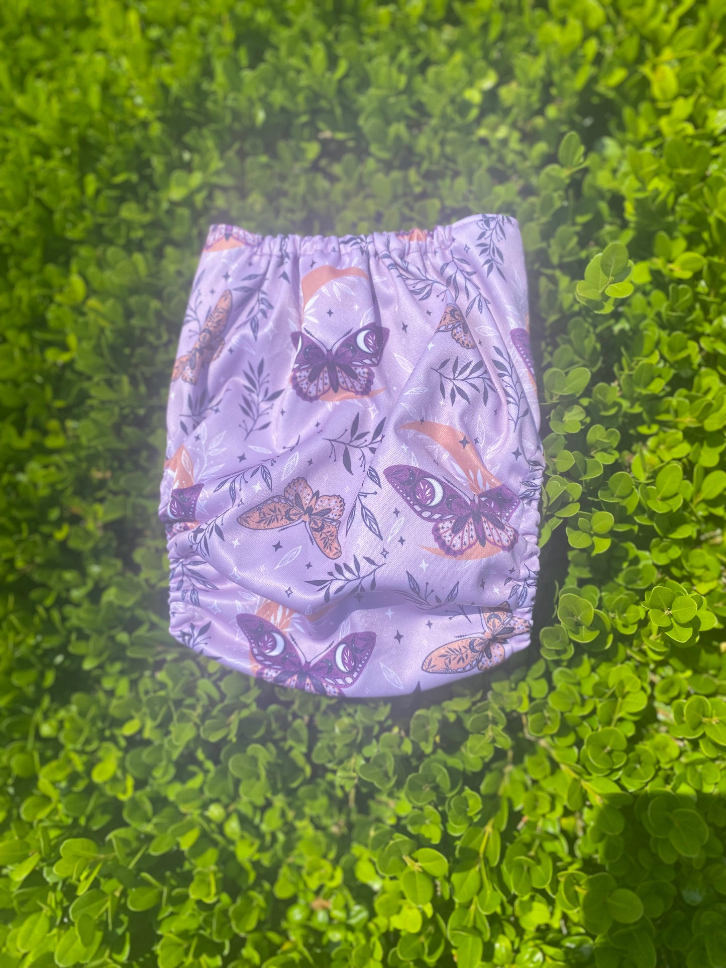 Tranquil Butterflies