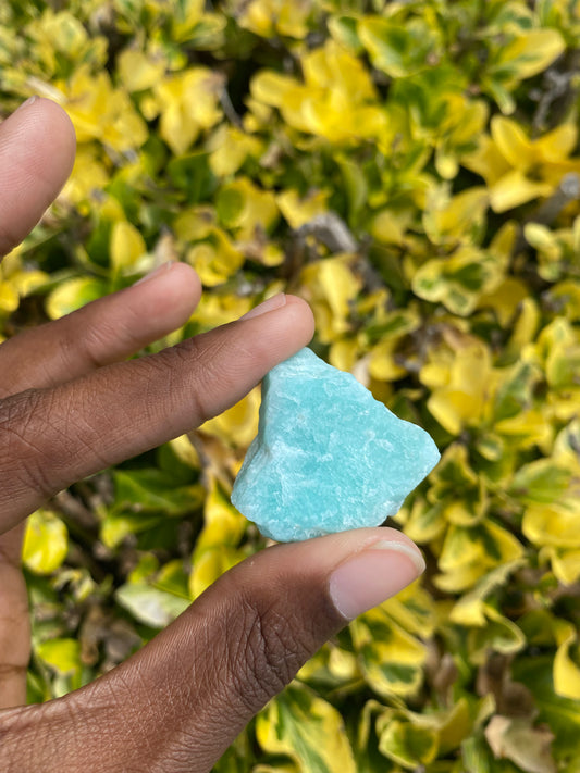 Raw Amazonite ✨