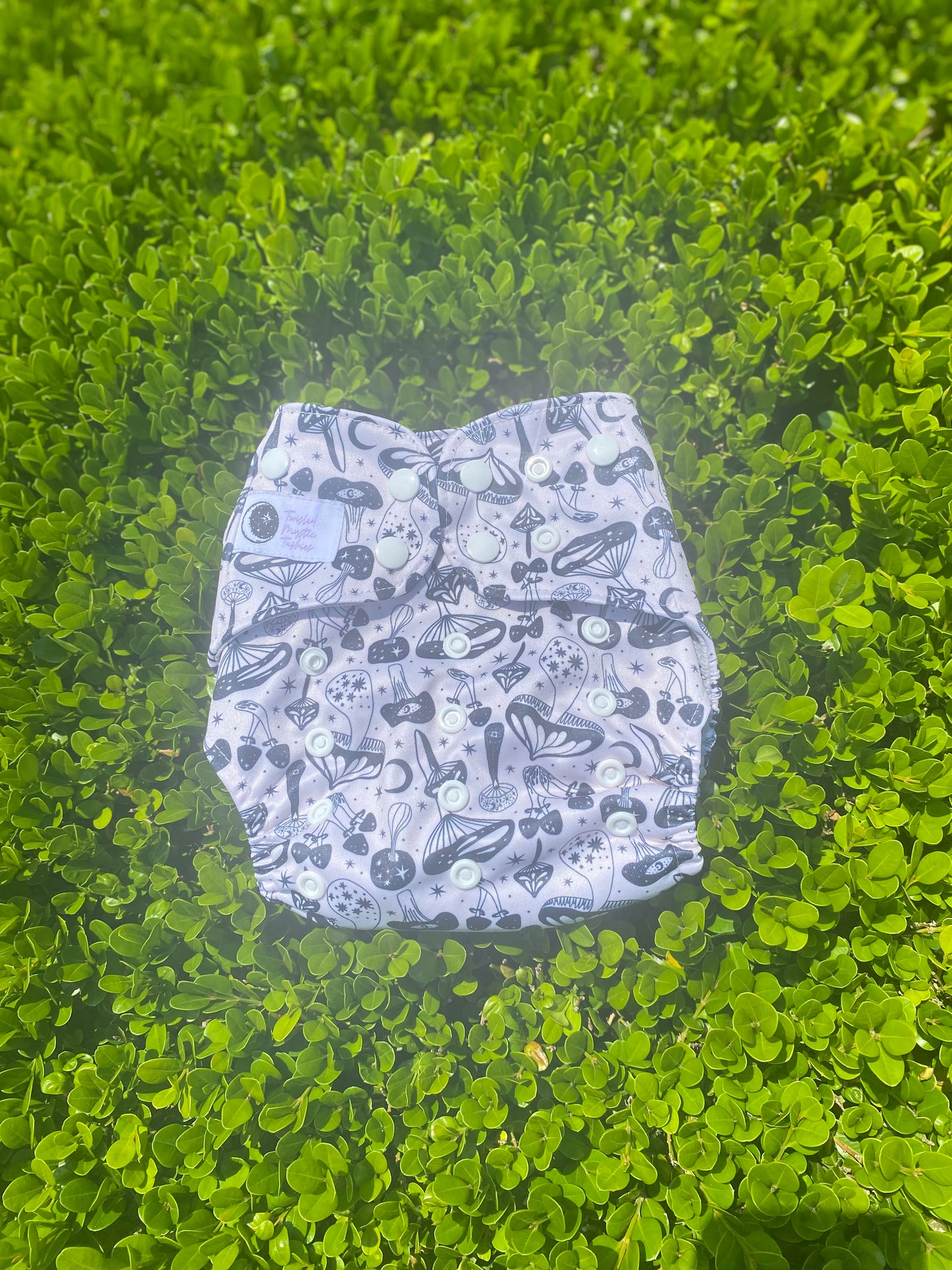 Moon Mushies *Seconds*