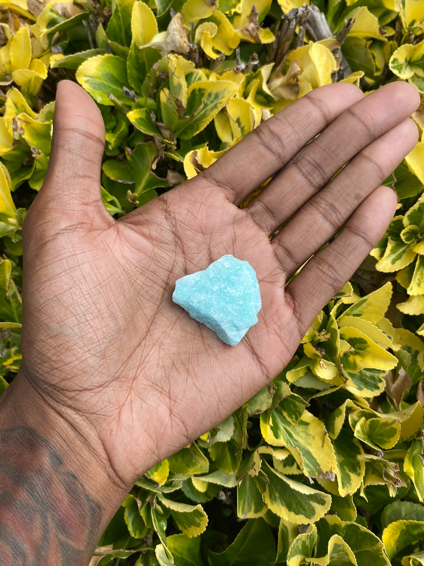 Raw Amazonite ✨