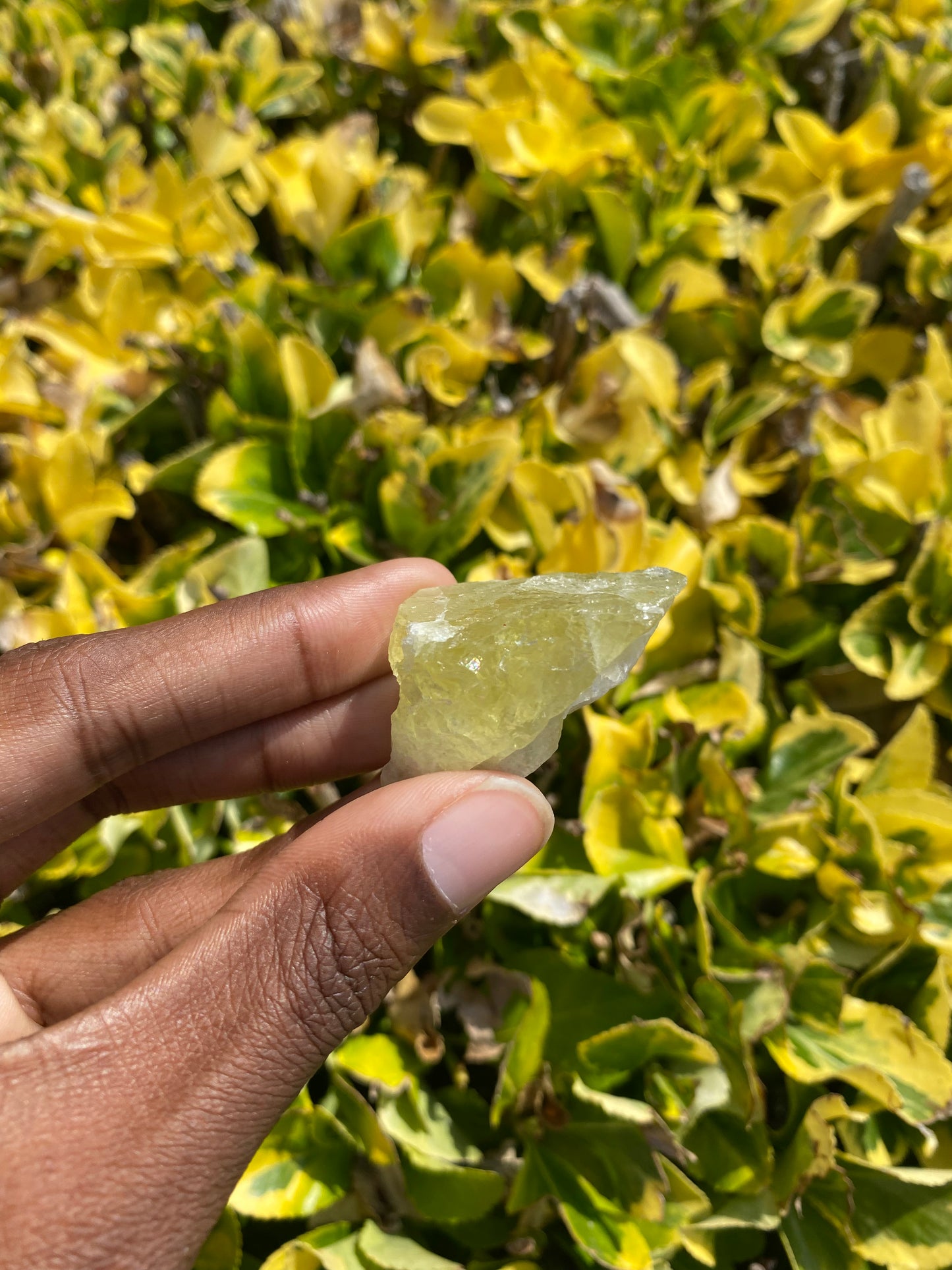 Raw Citrine ✨