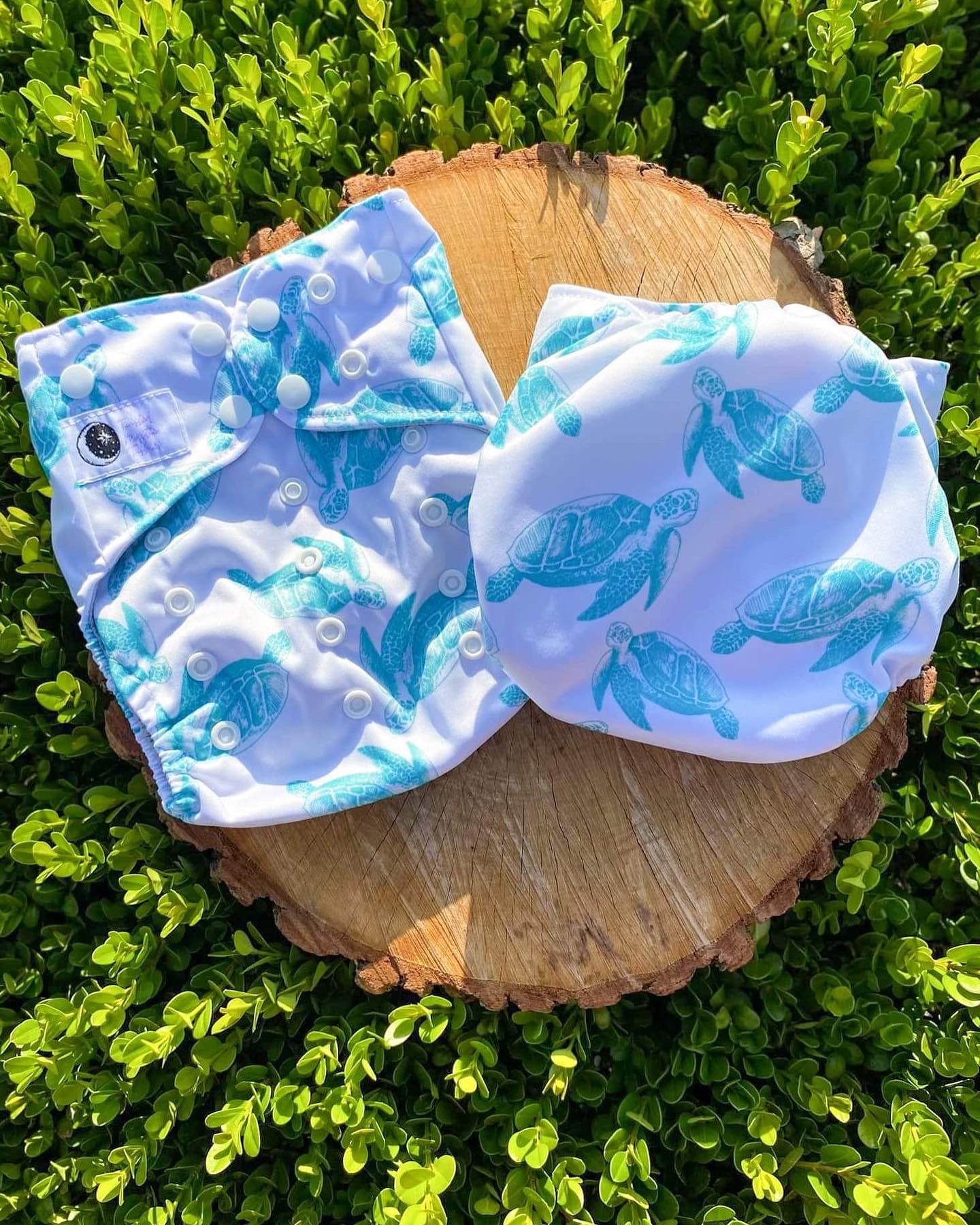 Sea Turtle *seconds*