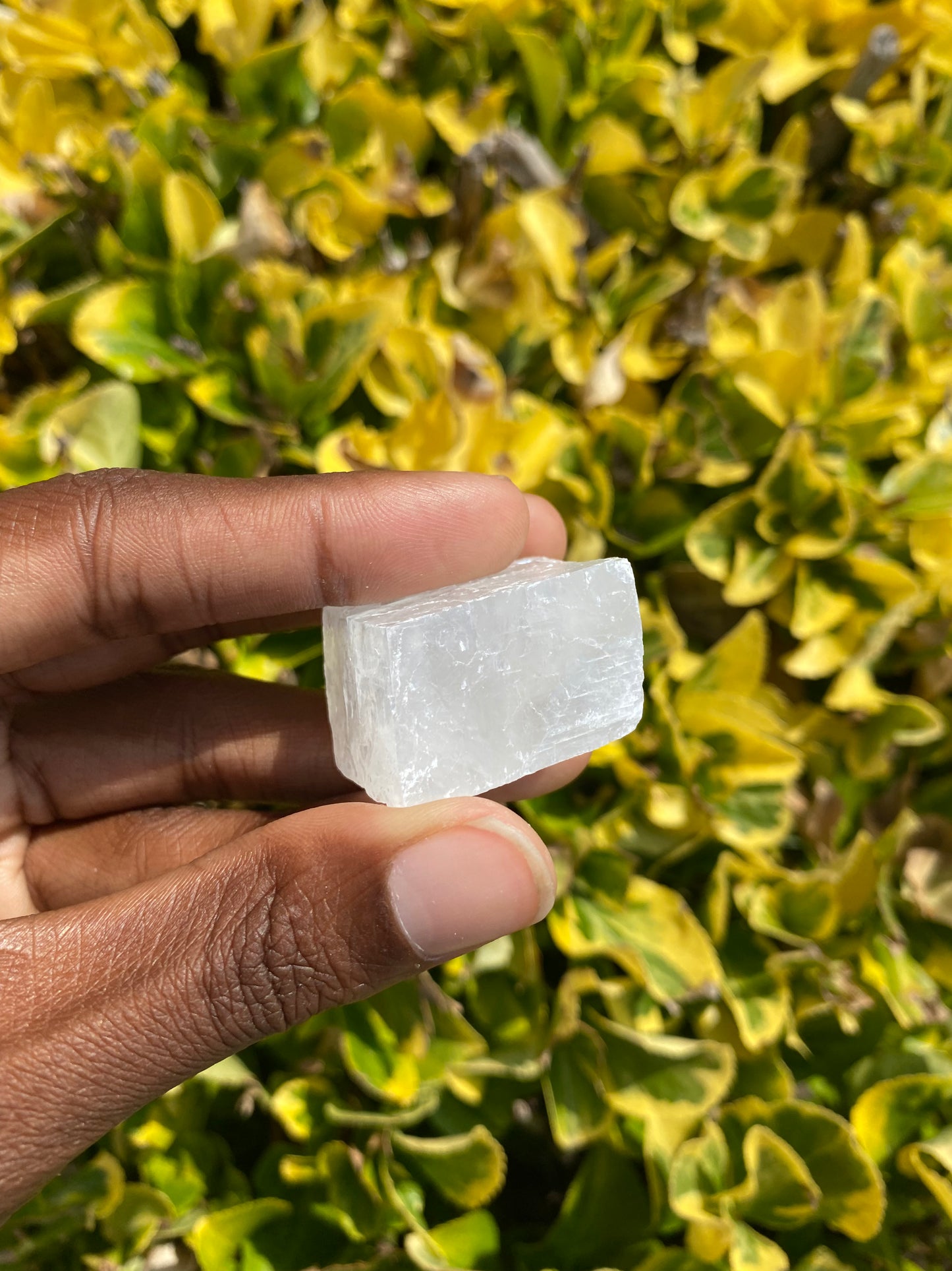 Raw Selenite ✨