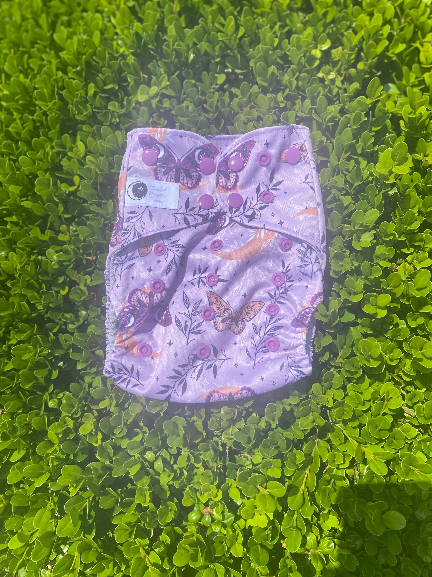 Tranquil Butterfly *Seconds*